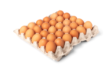 Chicken eggs TM “Krupets”
