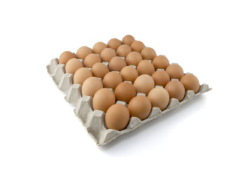 Chicken eggs TM “Zagai”